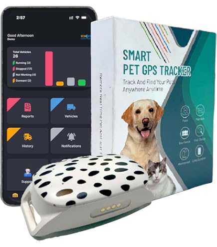 Tractive Smart Dog GPS Tracker | Live Pet Tracker with Virtual